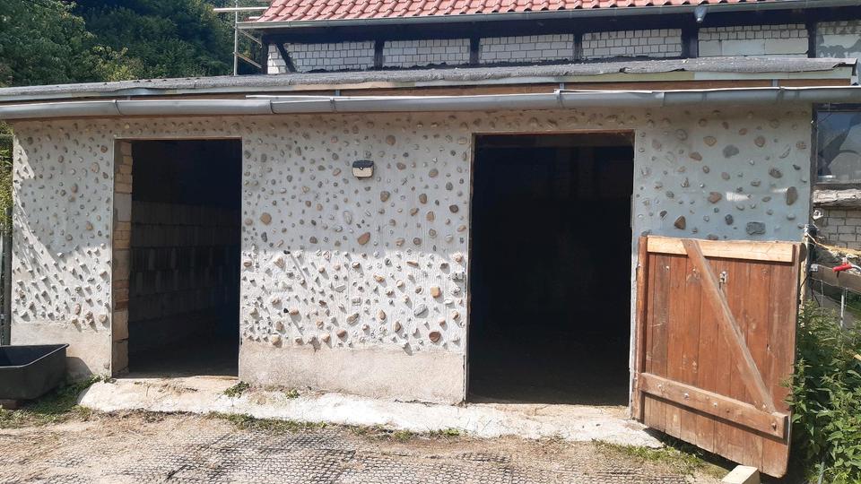 Mehrfamilienhaus, Wohnhaus Grimma - 12 Zimmer, 300 m&sup2;, 380.000&euro; | Angebot:27122771