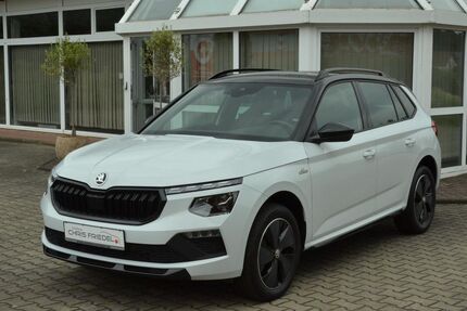 Skoda Kamiq 4.950 km 26.290 &euro; Pegau 04523