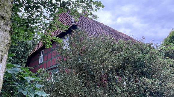Historischer Niedersachsen- Bauernhof in Fachwerk mit Pferdeboxen u. tollen Eichenbaumbestand - Gewerbeobjekt Diepenau | Angebot:27142419