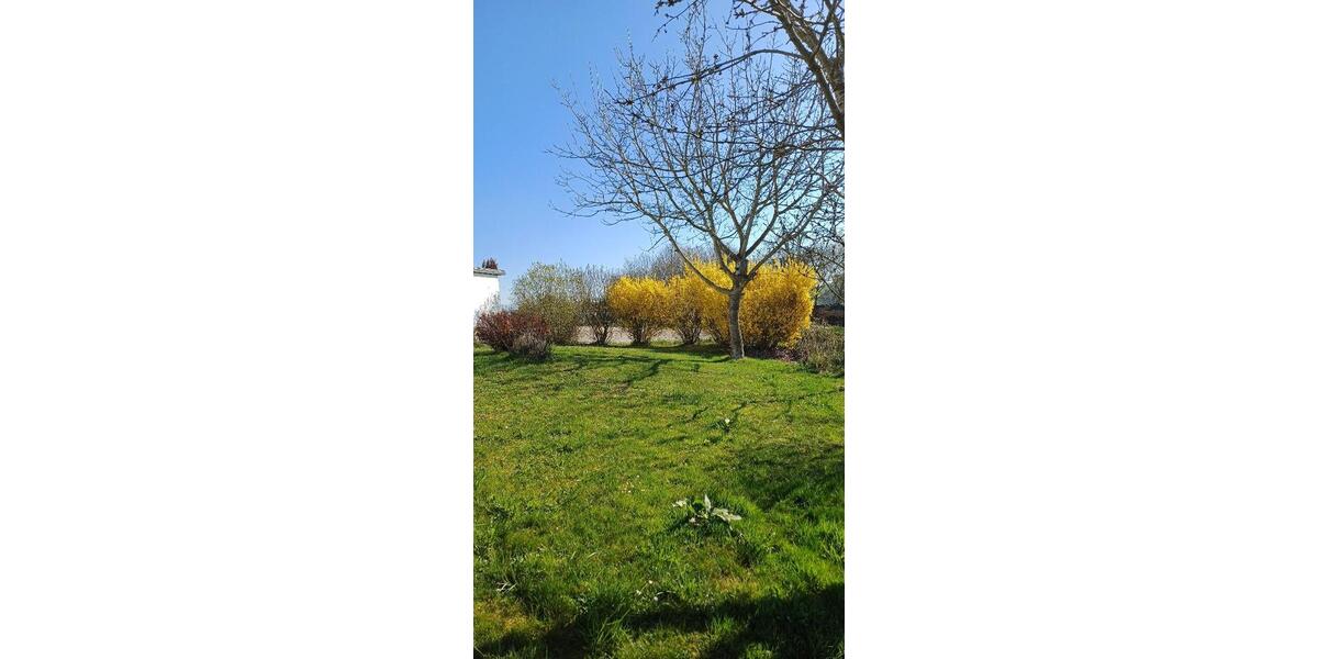 Doppelhaushälfte Reichertsheim - 4 Zimmer, 205 m&sup2;, 1.700&euro; | Angebot:26411151