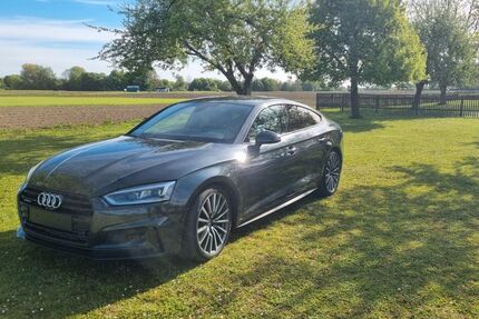 Audi A5 65.000 km 29.999 &euro; Spatzenhausen 82447