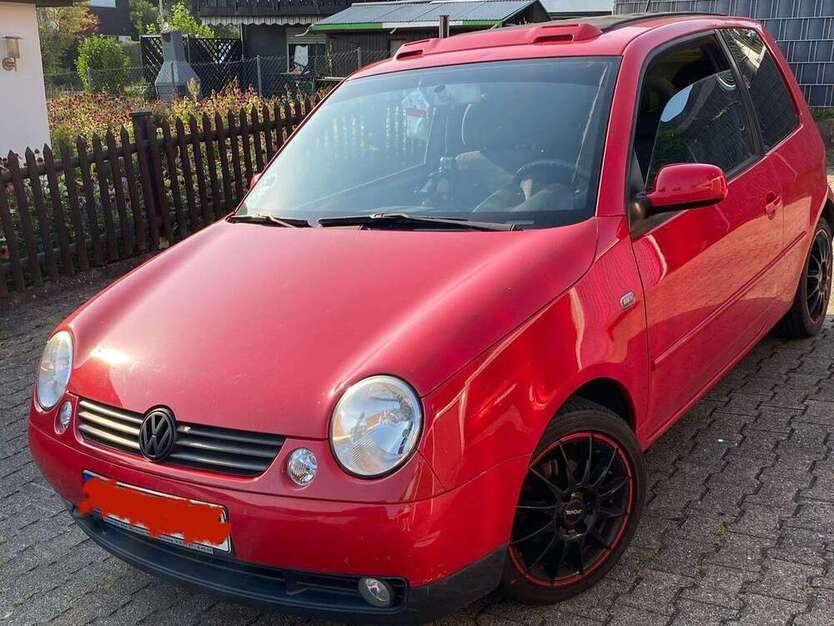 Lupo