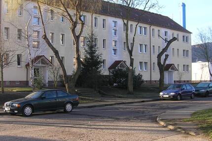 Wohnung Teutschenthal - 3 Zimmer, 60 m&sup2;, 300&euro; | Angebot:24525445