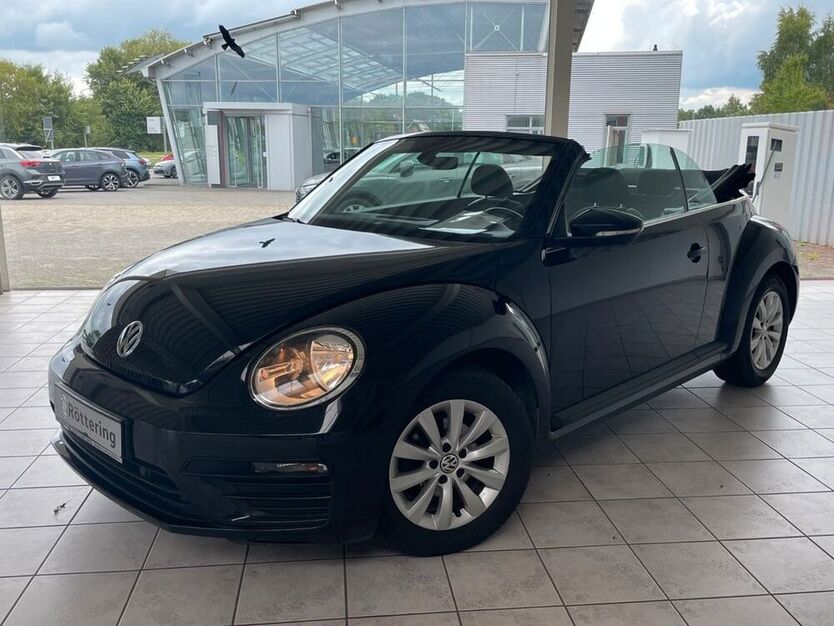 Beetle
