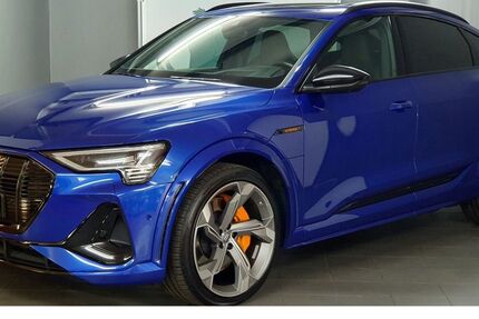 Audi e-tron 47.080 km 49.870 &euro; Blaubeuren 89143