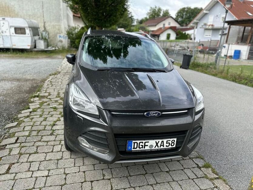 Kuga