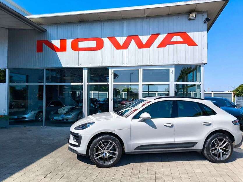 Macan