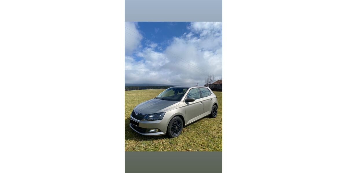 Skoda Fabia 116.000 km 8.299 &euro; Kirchdorf im Wald 94261