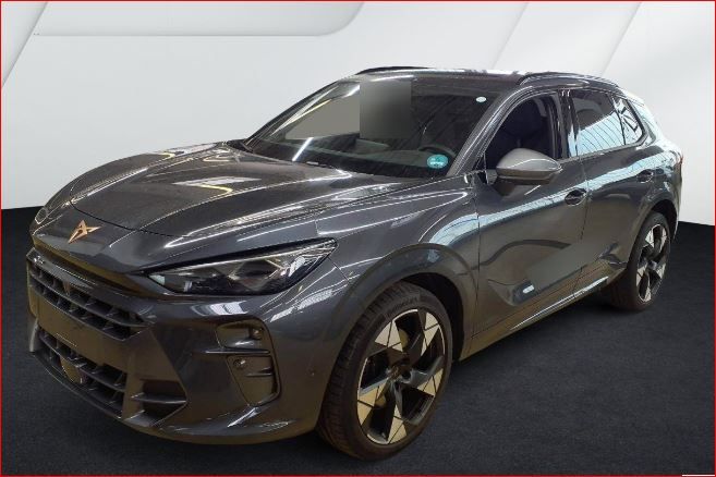 Cupra Terramar 25.790 km 40.460 &euro; Hünxe 46569