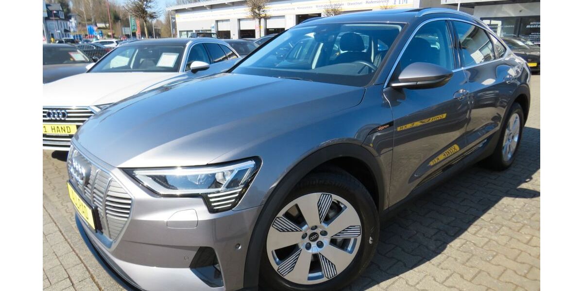 Audi e-tron 53.800 km 28.990 &euro; Ransbach-Baumbach 56235