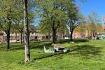 Etagenwohnung Lüneburg Altstadt - 2 Zimmer, 74 m&sup2;, 850&euro; | Angebot:26570569