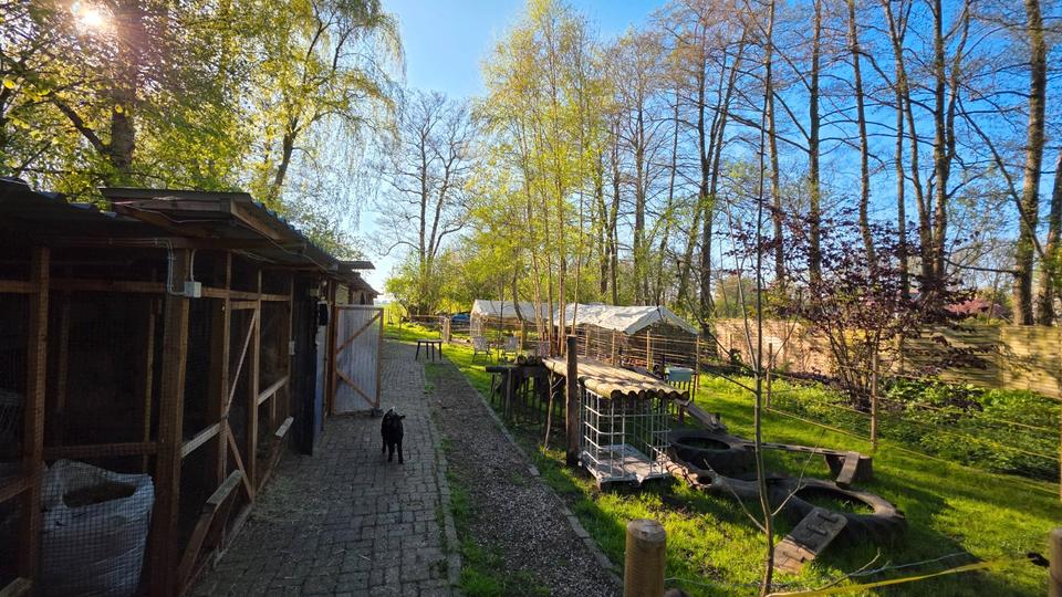 Bauernhaus, Landhaus Weener - 5 Zimmer, 255 m&sup2;, 418.000&euro; | Angebot:26889491