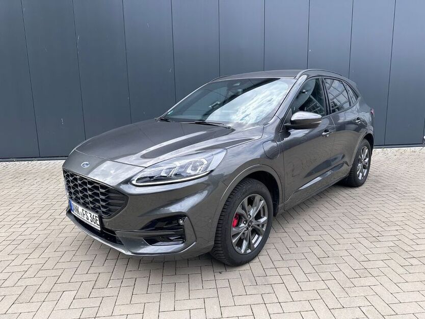 Kuga