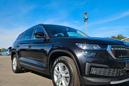 Skoda Kodiaq 169.876 km 19.900 &euro; Berlin 12099