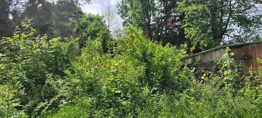 Grundstück Saalfeld/Saale Saalfeld - 400.000&euro; | Angebot:25775162