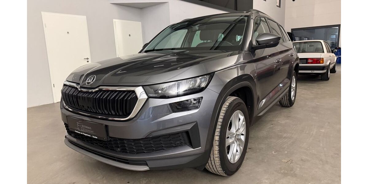 Skoda Kodiaq 156.476 km 21.950 &euro; Goslar 38642