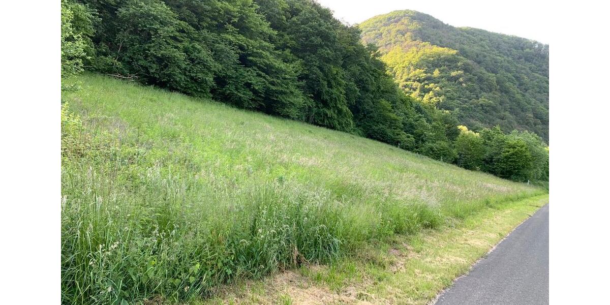 Grundstück Senheim - 14.450&euro; | Angebot:11233803