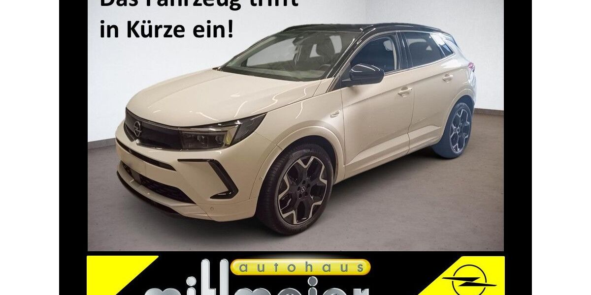 Opel Grandland (X) 12.450 km 25.950 &euro; Vohenstrauß 92648