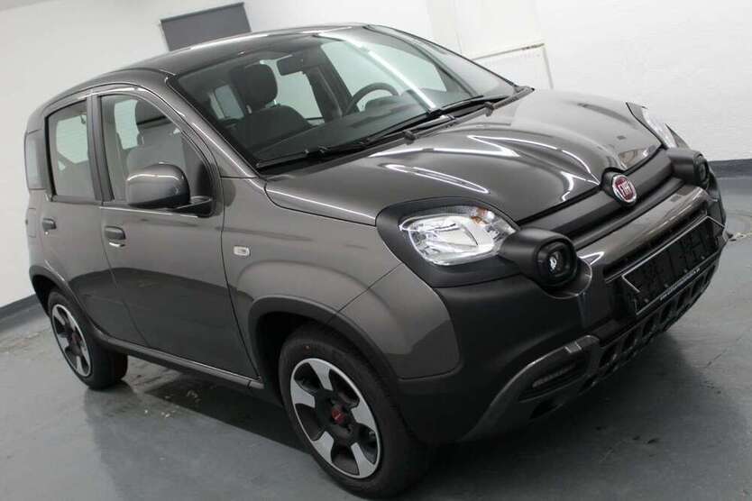 Panda