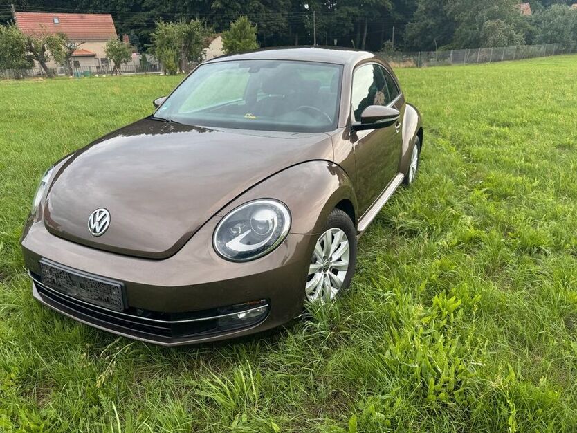 Beetle