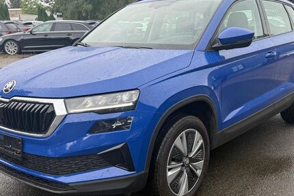 Skoda Karoq 147.195 km 16.990 &euro; Braunschweig 38122