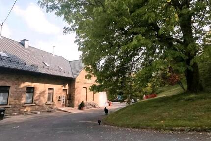 Gewerbeobjekt Reichshof - 550&euro; | Angebot:25299938