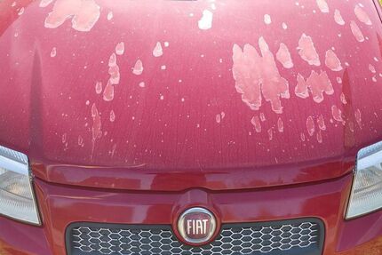 Fiat Panda 217.000 km 2.800 &euro; kernen 71394