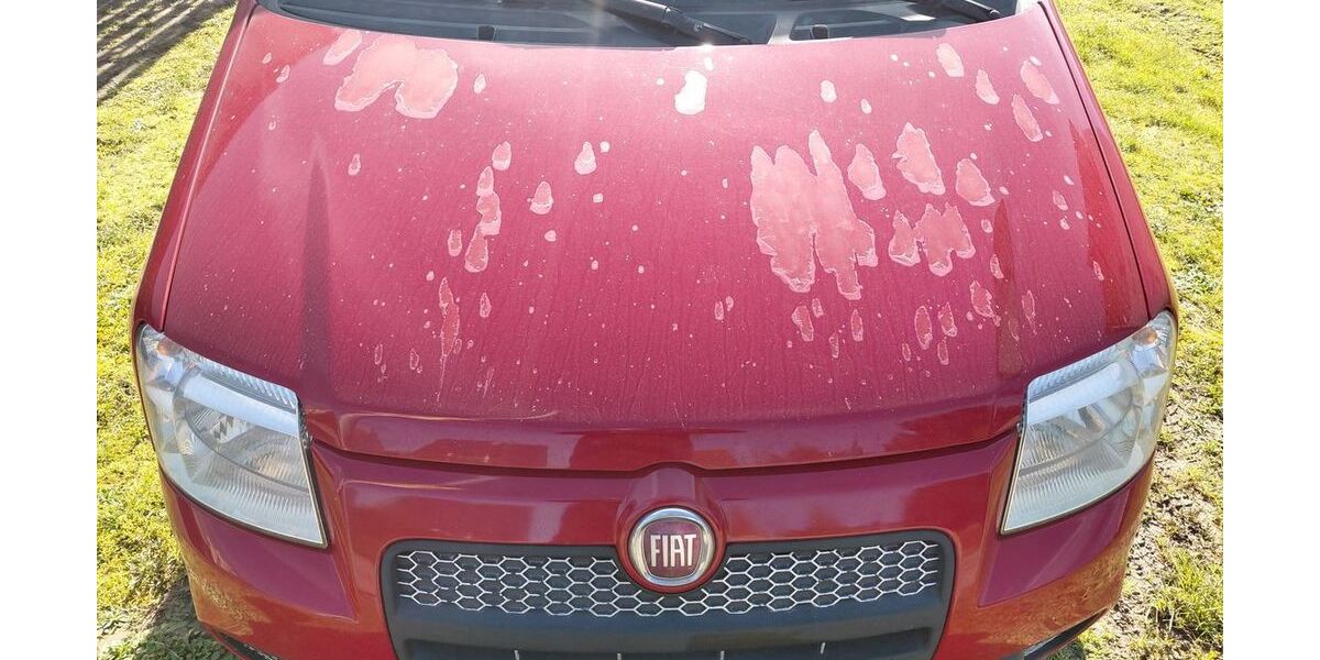 Fiat Panda 217.000 km 2.800 &euro; kernen 71394