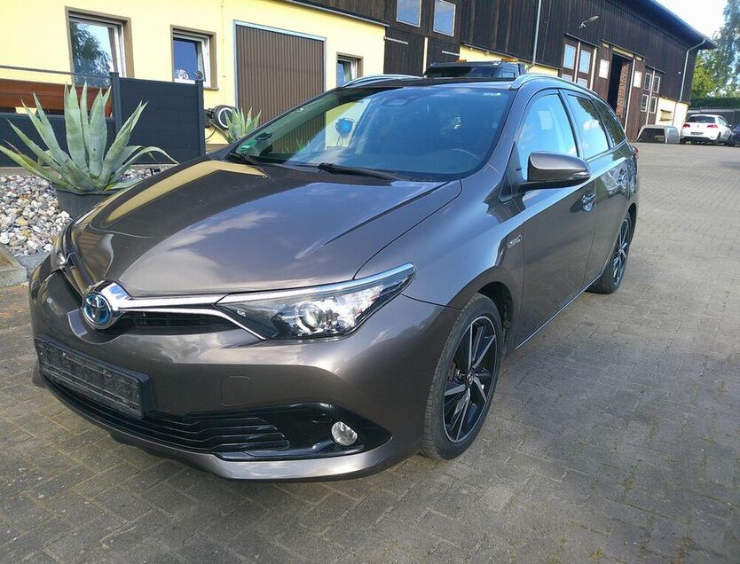 Auris