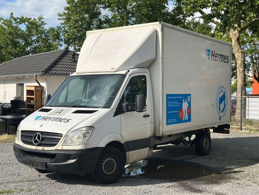 Sprinter