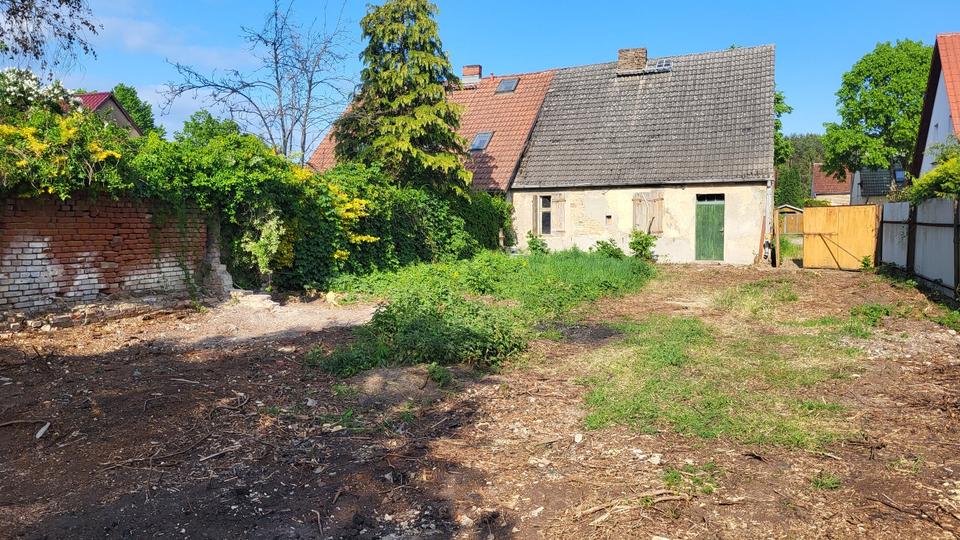 Doppelhaushälfte Zehdenick - 69.000&euro; | Angebot:26686150