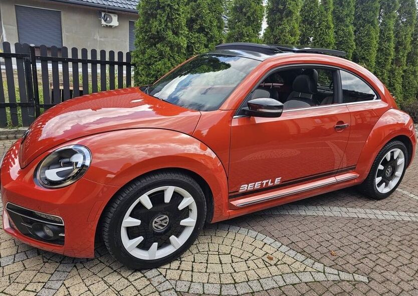 Beetle