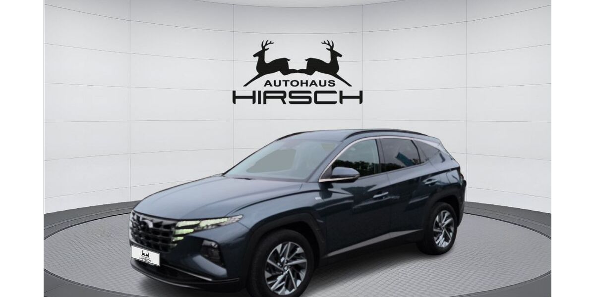 Hyundai TUCSON 26.911 km 26.990 &euro; Borna 04552