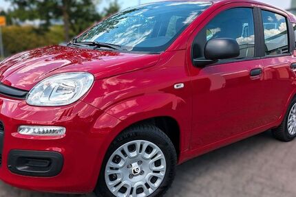 Fiat Panda 6.600 km 13.990 &euro; Wiehl 51674
