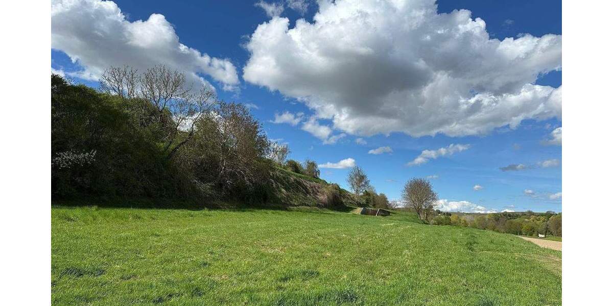 Mehrfamilienhaus, Wohnhaus Herbolzheim Tutschfelden - 1 Zimmer, 277 m&sup2;, 1.190.000&euro; | Angebot:25769384