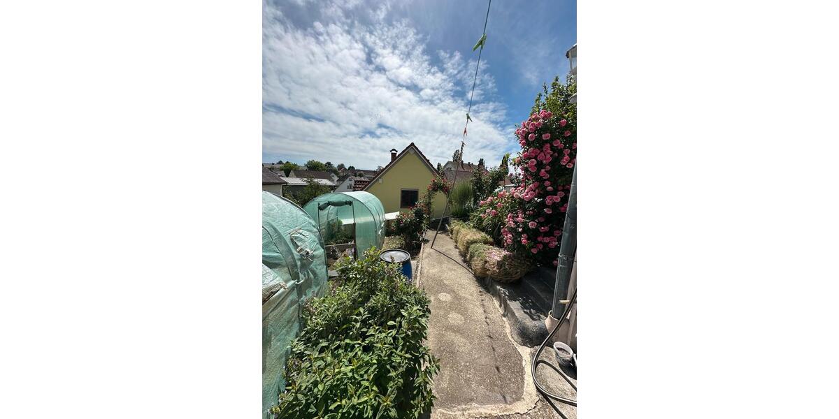 Einfamilienhaus Altshausen - 395.000&euro; | Angebot:26976412