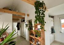 Zentrale Wohnung zur Zwischenmiete in Münster (Wolbecker Straße)