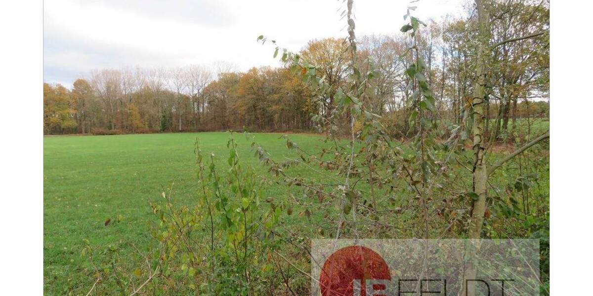 Mehrfamilienhaus, Wohnhaus Versmold Loxten - 1 Zimmer, 460 m&sup2;, 256.000&euro; | Angebot:24782723