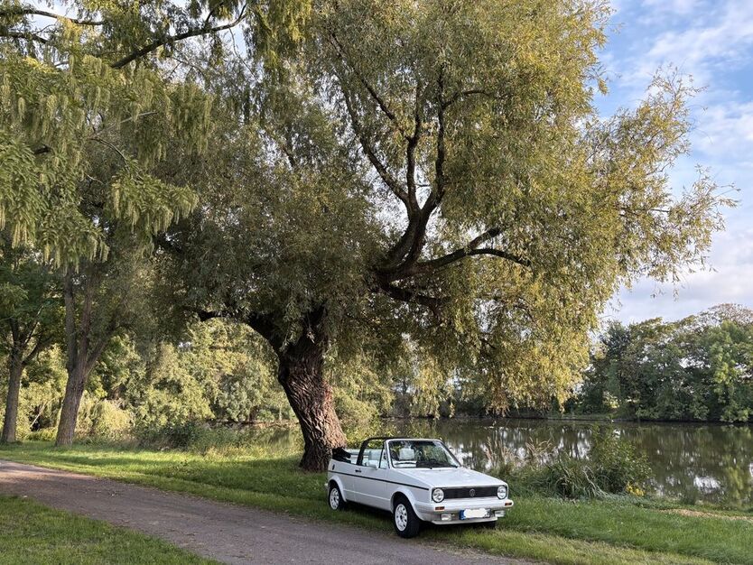 VW Golf 145.000 km 10.500 € Elsdorf 50189