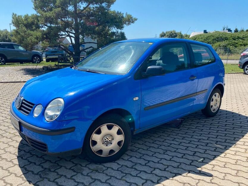 Polo
