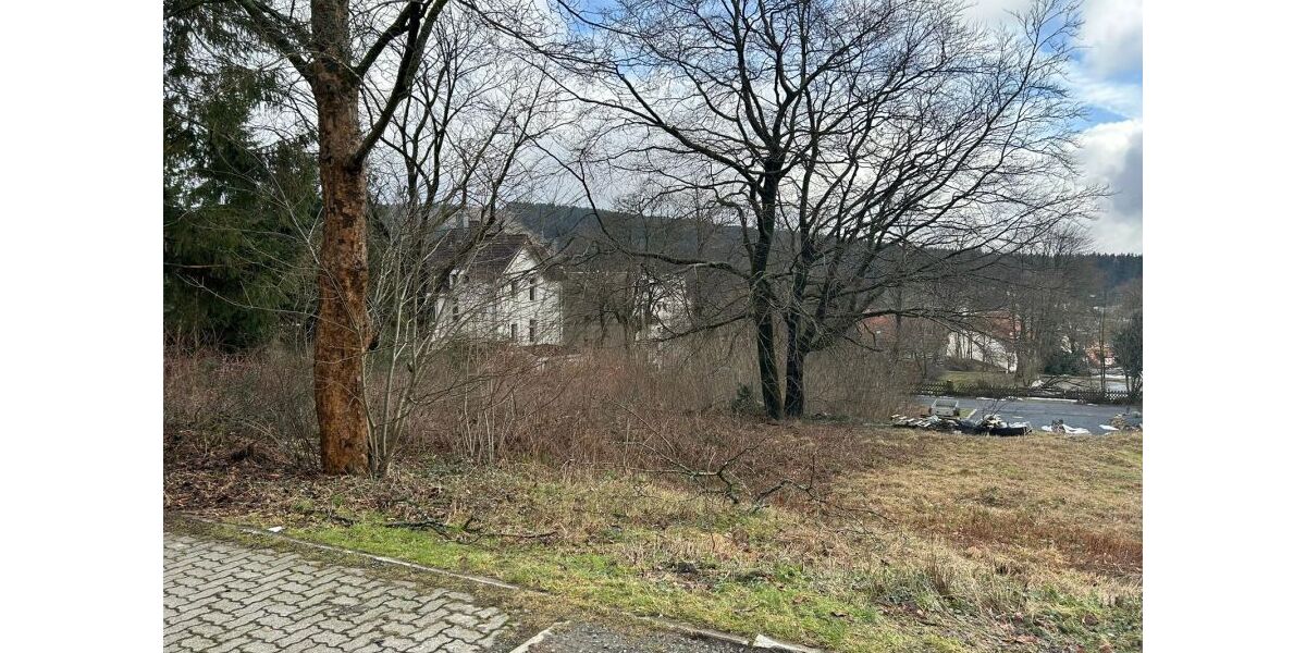 Provisionsfrei* Unbebautes Grundstück im Ortskern Hahnenklee - Grundstück Goslar Hahnenklee | Angebot:26063662