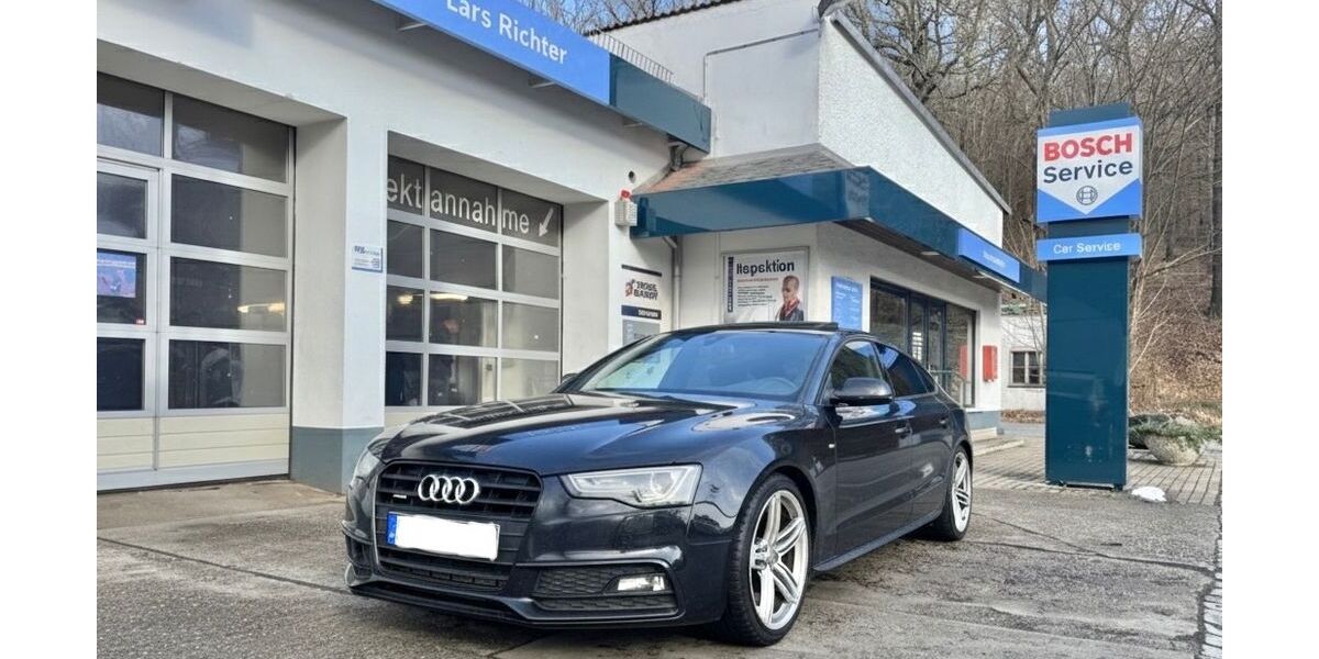 Audi A5 262.000 km 10.500 &euro; Bad Schandau 01814