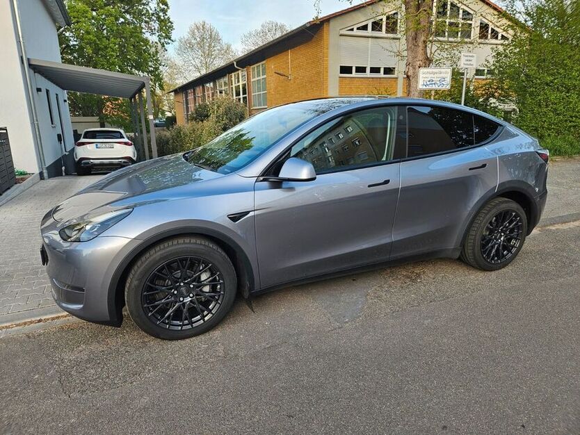 Model Y