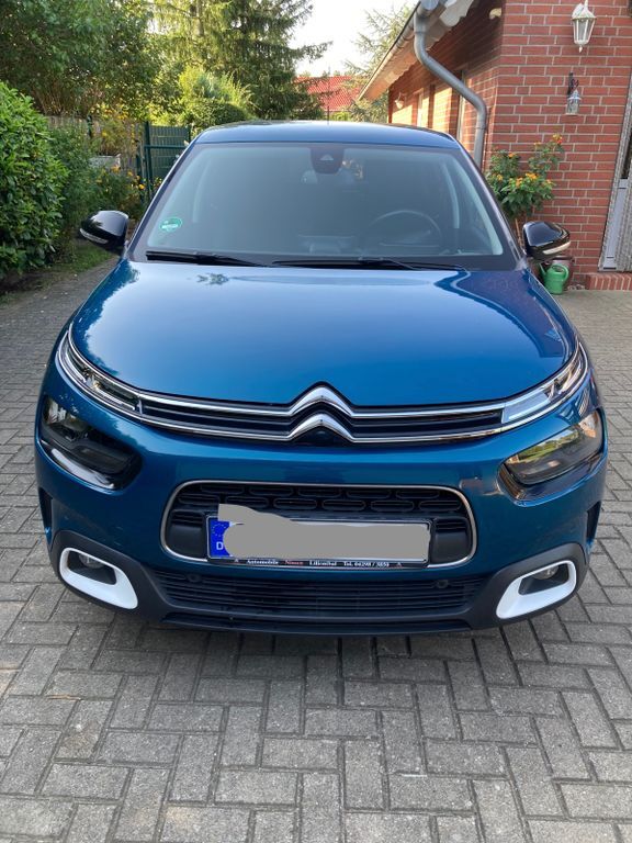 C4 Cactus