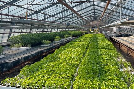 Gewerbeobjekt Obertshausen - 2&euro; | Angebot:20110778