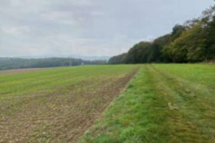 Grundstück zu verkaufen in Idstein 53.500 € 6757 m² zimmer