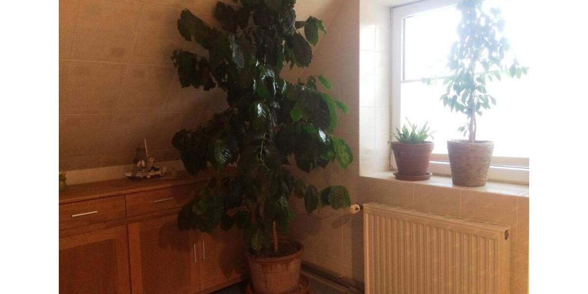 Einfamilienhaus in idyllischer Lage bei Greifswald zu vermieten 7 zimmer