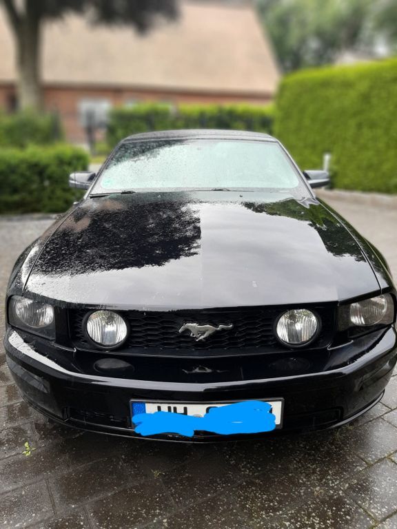 Mustang