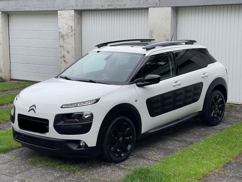 C4 Cactus