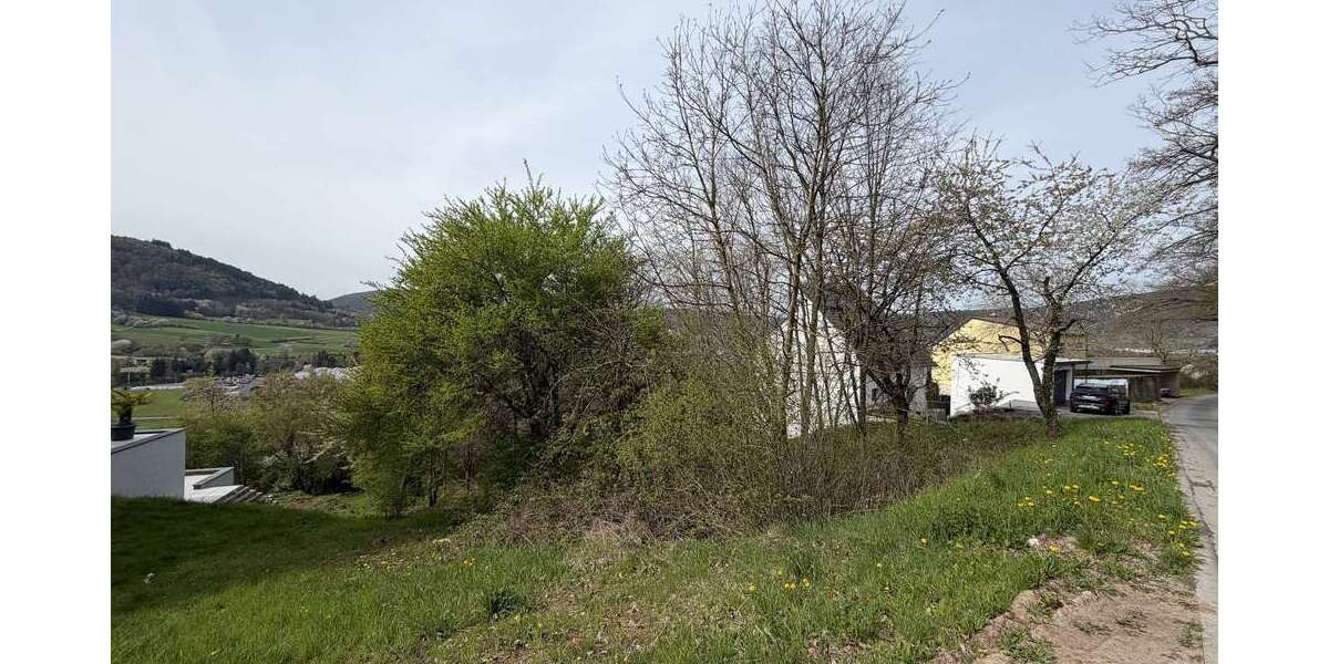 Grundstück Miltenberg - 200.000&euro; | Angebot:26165206